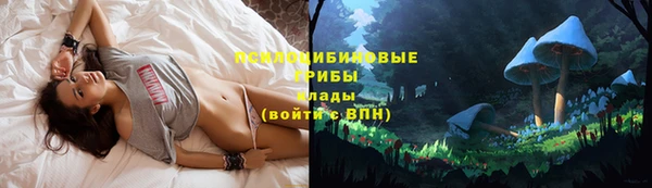 винт Коряжма