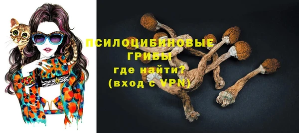 соль ск Корсаков
