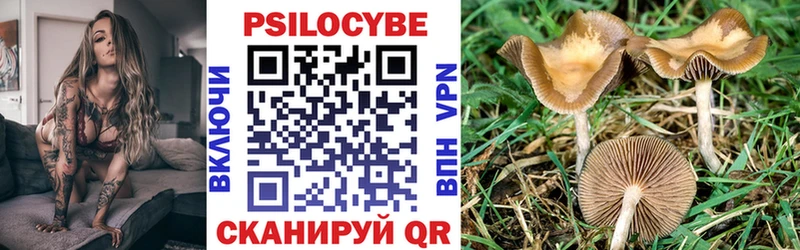 Псилоцибиновые грибы Cubensis  сколько стоит  Котельнич 